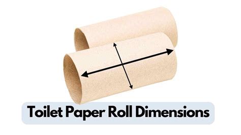 How Wide is a Roll of Toilet Paper, and Why Does It Matter in the Grand Scheme of Things?