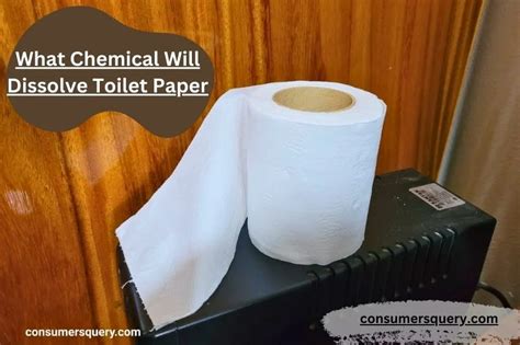 Will Vinegar Dissolve Toilet Paper: A Journey Through Chemistry, Myths, and Household Hacks